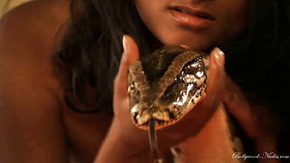 Movie Scene showing an indian gal dances with snake This movie scene will temp u with a very youthful hot indian gal dances